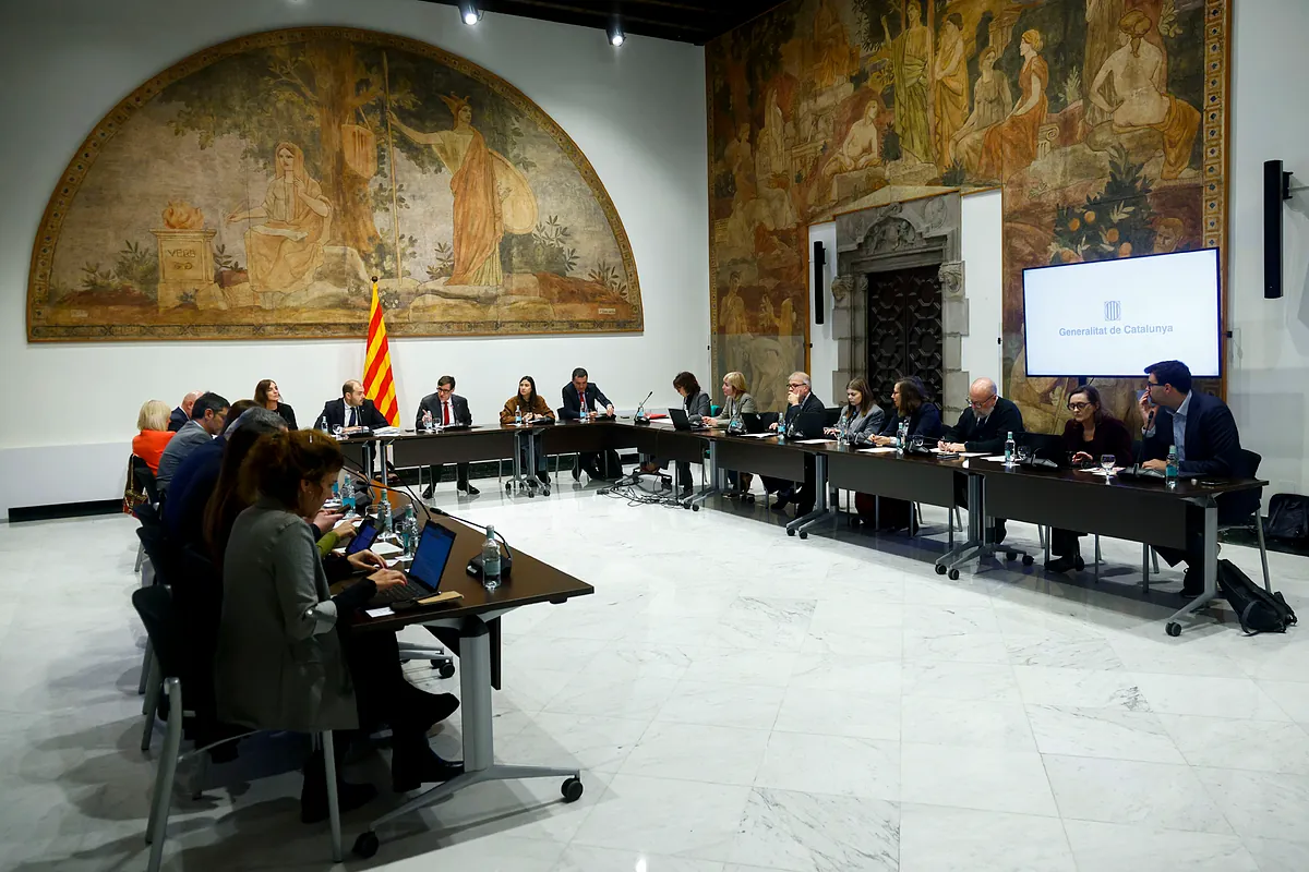 Un juzgado investigará el brote de peste porcina y el sector cifra en 24 millones las pérdidas semanales