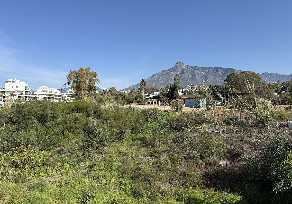 Luz verde a la construcción de 25 VPO en Arroyo Palomeras y a dos proyectos de desarrollo en San Pedro