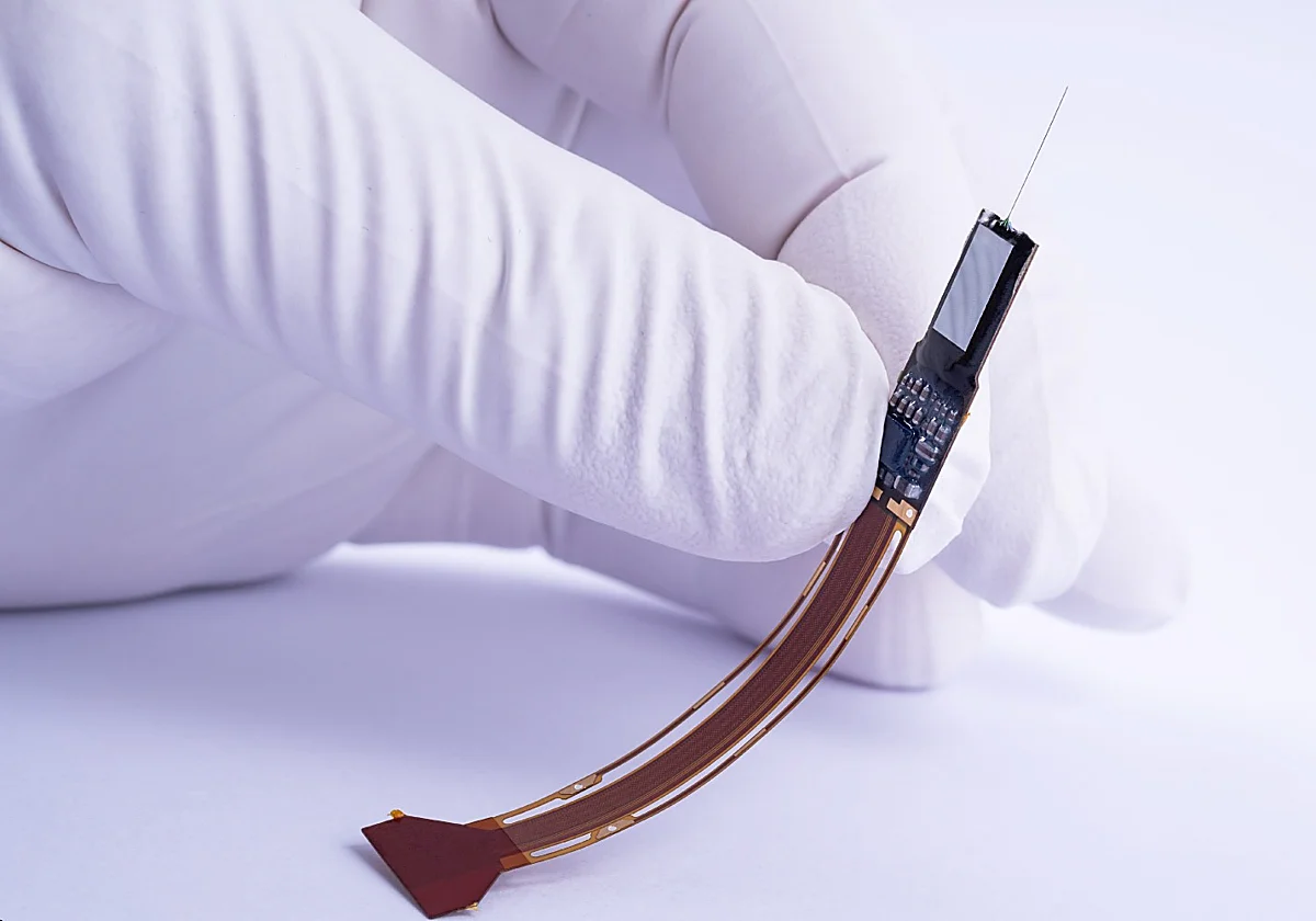 IMEC desarrollará desde Málaga chips de platino para secuenciar ADN y 'neuropíxeles' implantables en el cerebro