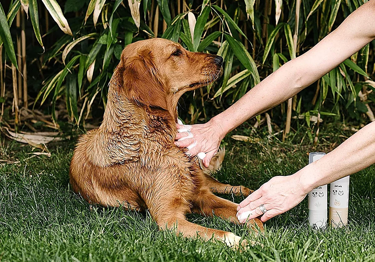 Mantén el pelaje de tu perro y gato limpio y libre de malos olores con esta selección de champús en seco