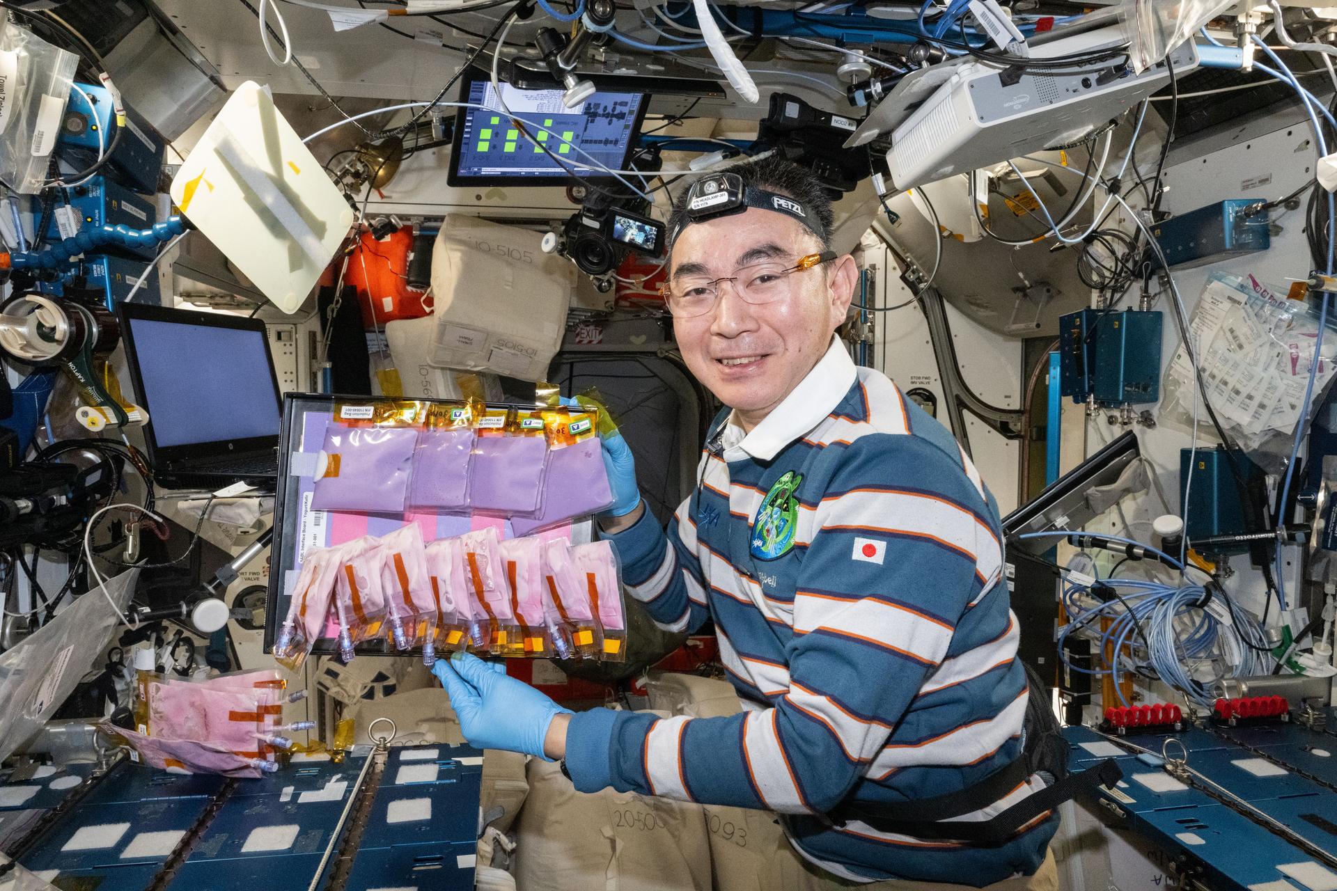 NASA Study to Analyze Fermented Food Samples from Space