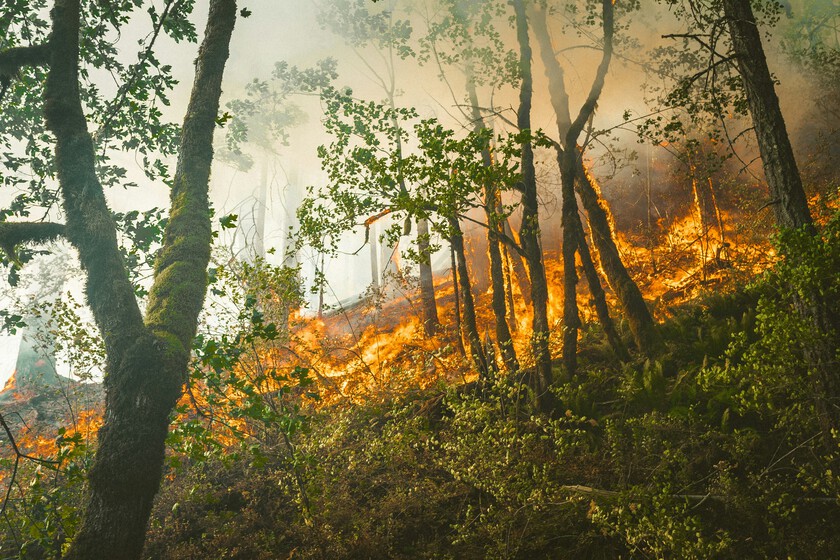 Si no llueve, es malo para los incendios; si llueve, también es malo para los incendios: la gran paradoja española de riesgo forestal