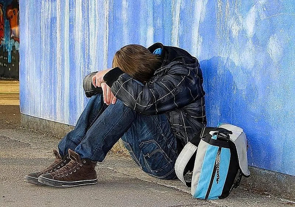 Acoso escolar: la Junta de Andalucía propone que el acosador se traslade de centro como norma y pide abrir debate para que sea delito