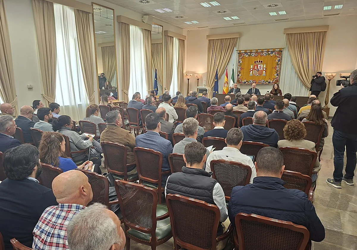 El Gobierno creará una comisión técnica para reconstruir los caminos rurales de Málaga