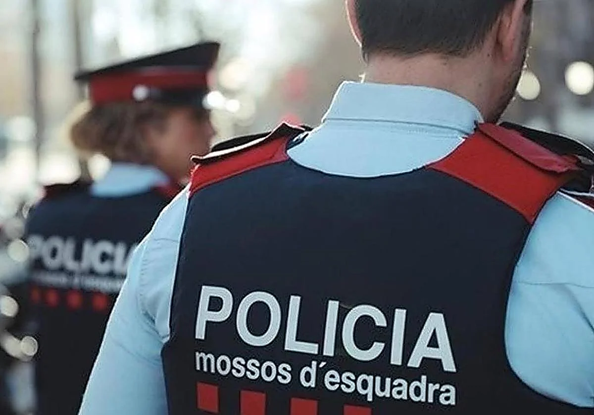 Tráfico internacional de hachís: cae una red criminal con 17 detenidos en Cataluña, Málaga e Italia
