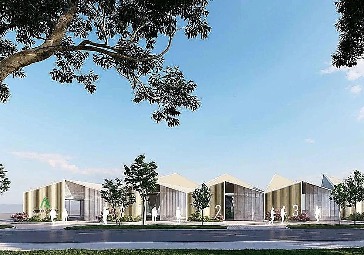 Construction of new San Pedro Alcántara bus station to go out to tender this year