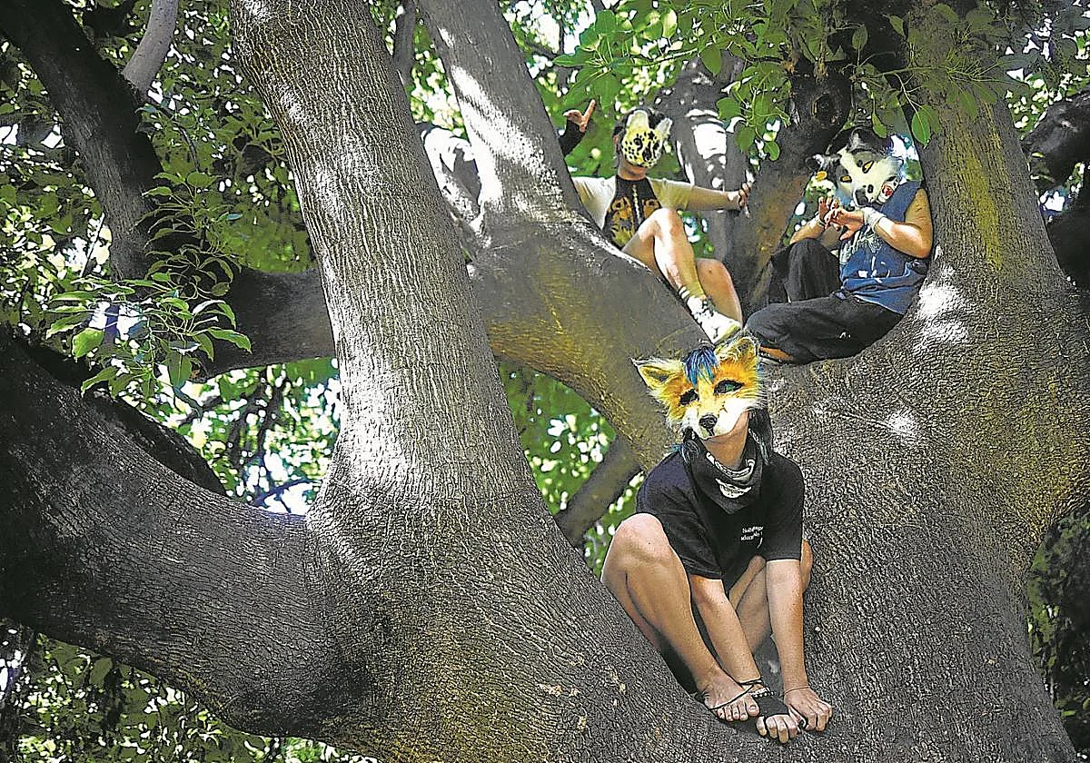 Los beneficios de la cuadrupedia y otras excentricidades para cultivar la salud