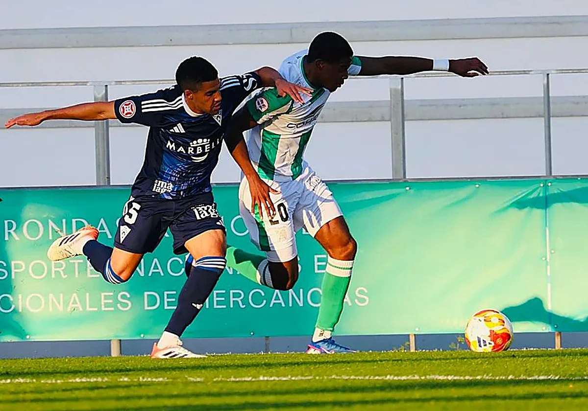 Primera RFEF: Antequera CF close in on play-off places with statement win