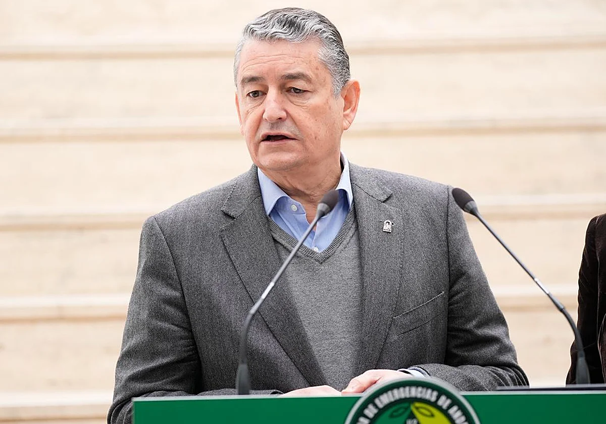 Más allá del virus del Nilo: la Junta vigilará también la circulación del dengue, zika y chikungunya en mosquitos