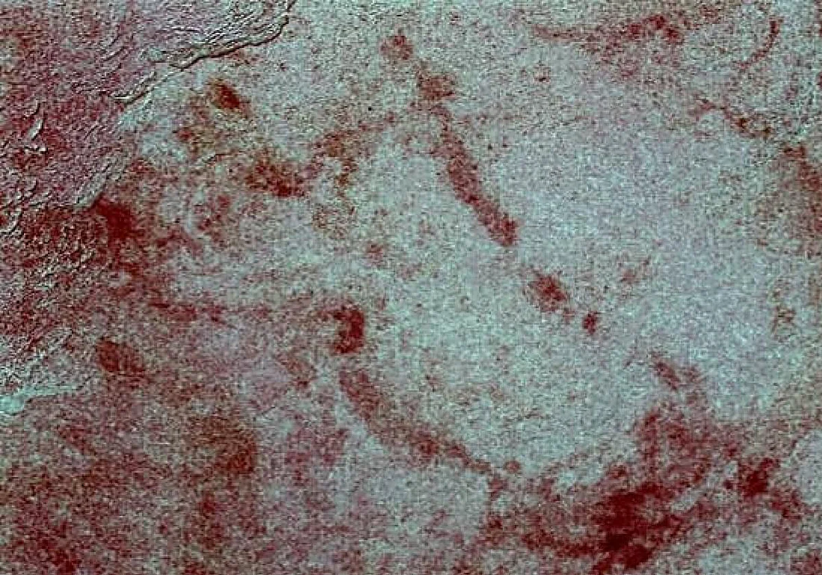 Nerja Cave incorporates 'Art-Point' to show hidden paintings