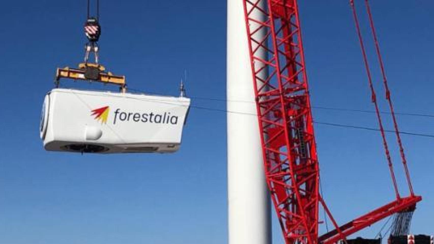 La Guardia Civil detiene a un ex alto cargo de Teresa Ribera por amañar permisos ambientales para favorecer a Forestalia