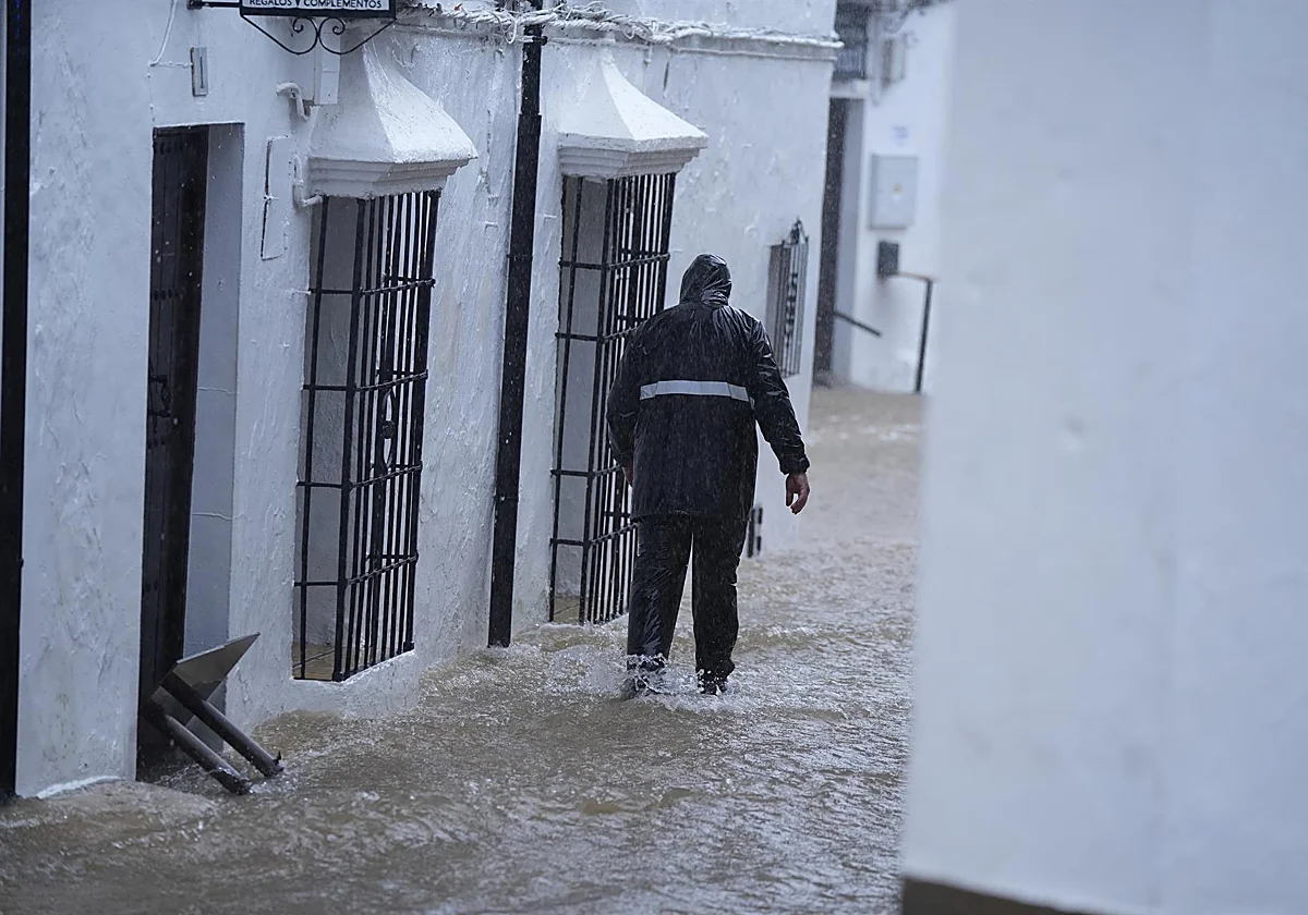 Las oficinas de ayudas del Gobierno tramitan ya 210 expedientes por los daños del tren de borrascas en Andalucía