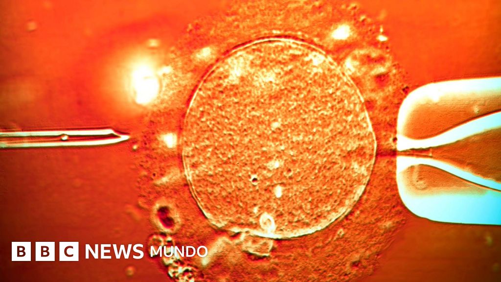 El esperma de un donante con un gen cancerígeno se utilizó para concebir a casi 200 niños: "Varios desarrollaron tumores y algunos ya han muerto"