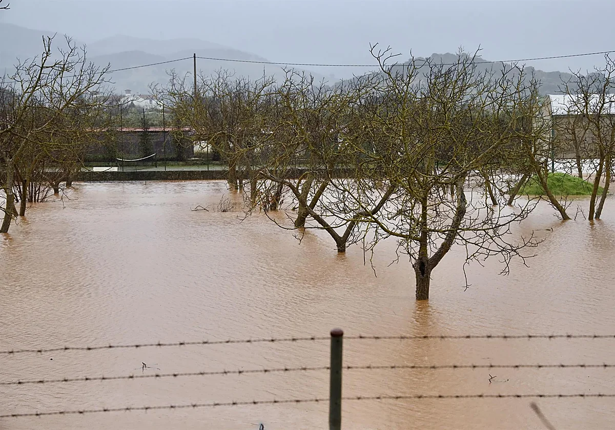Los regantes estiman en más de 40 millones los daños en infraestructuras por las borrascas en Andalucía