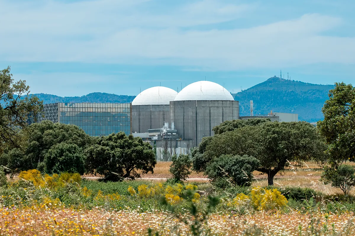 Iberdrola y Endesa paran Almaraz en otro pulso al Gobierno