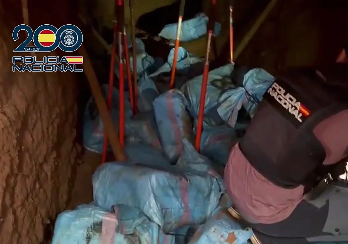 A tiros contra la policía tras descubrir un 'narcozulo' bajo tierra en el bosque de Marbella