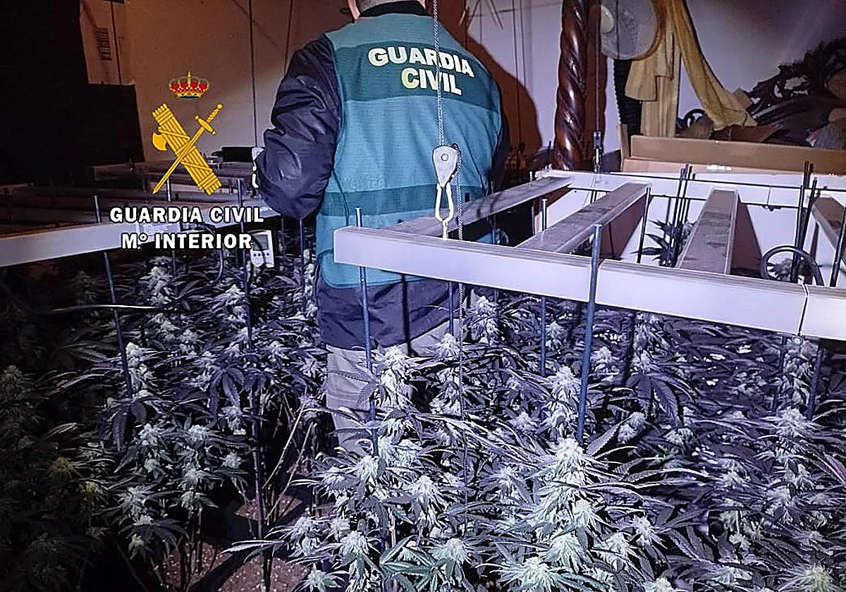 Two arrested and 20 kilos of cannabis seized during raid in Axarquía village