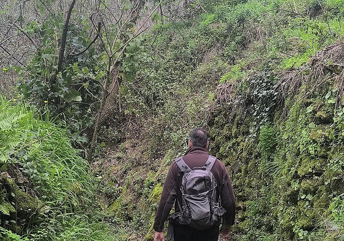 Sendero de los Huertos de Alpandeire: La ruta del pueblo de Fray Leopoldo donde el agua es protagonista