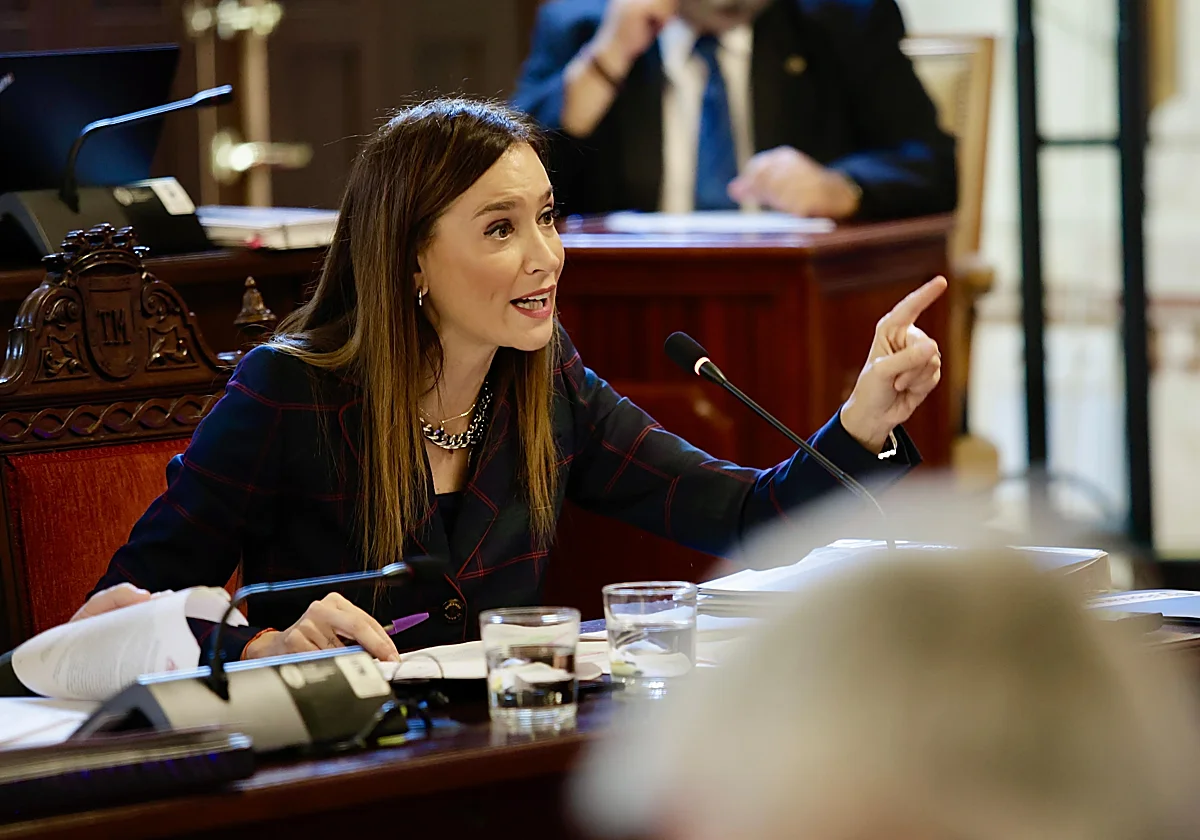 Pérez de Siles: «El alcalde de Málaga está en su derecho a diferir del partido; ya lo ha hecho antes»