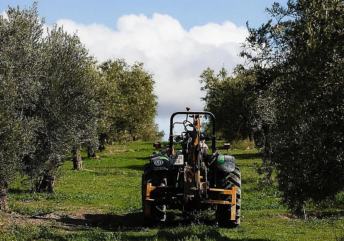 Iran war threatens Malaga's countryside with increasing costs