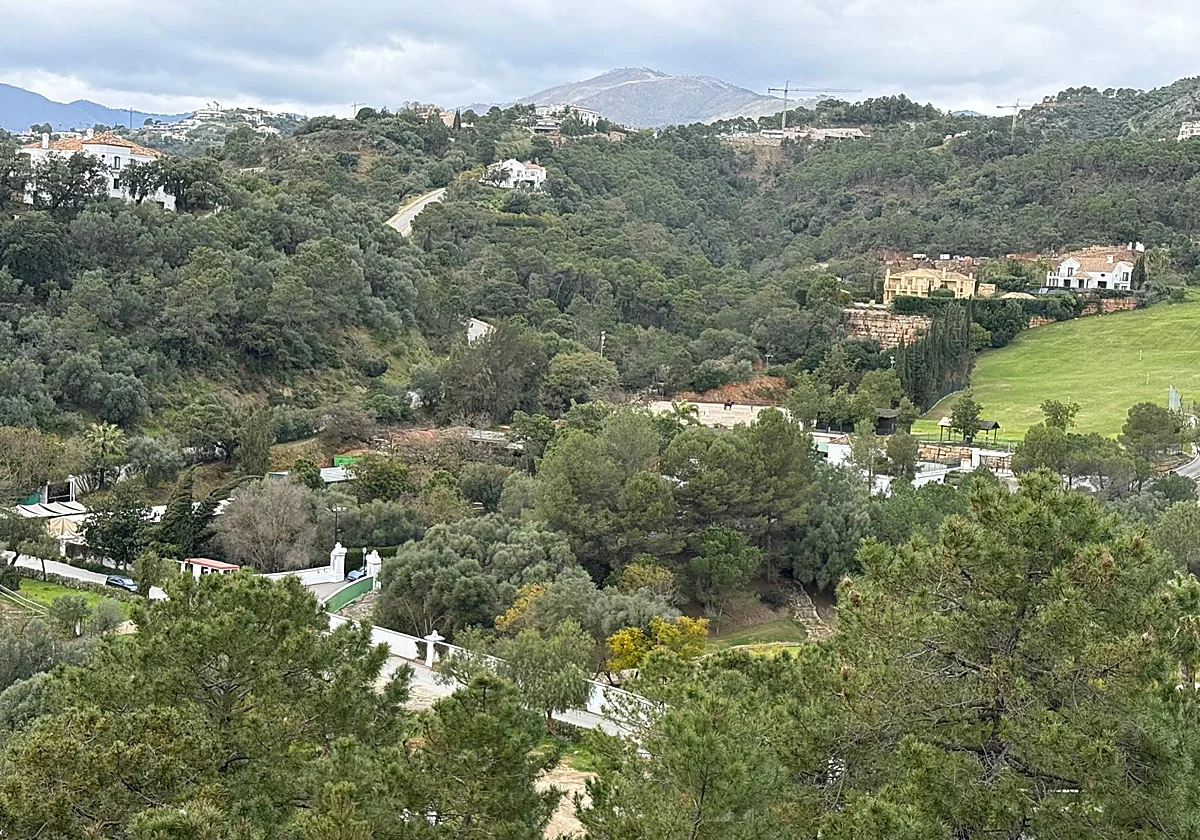 PSOE denounces the mayor of Benahavís for alleged administrative malpractice