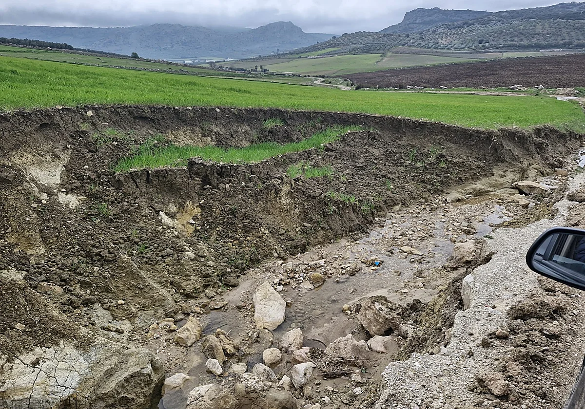 Cuevas del Becerro busca una solución urgente para reabrir la vía pecuaria Córdoba-Granada