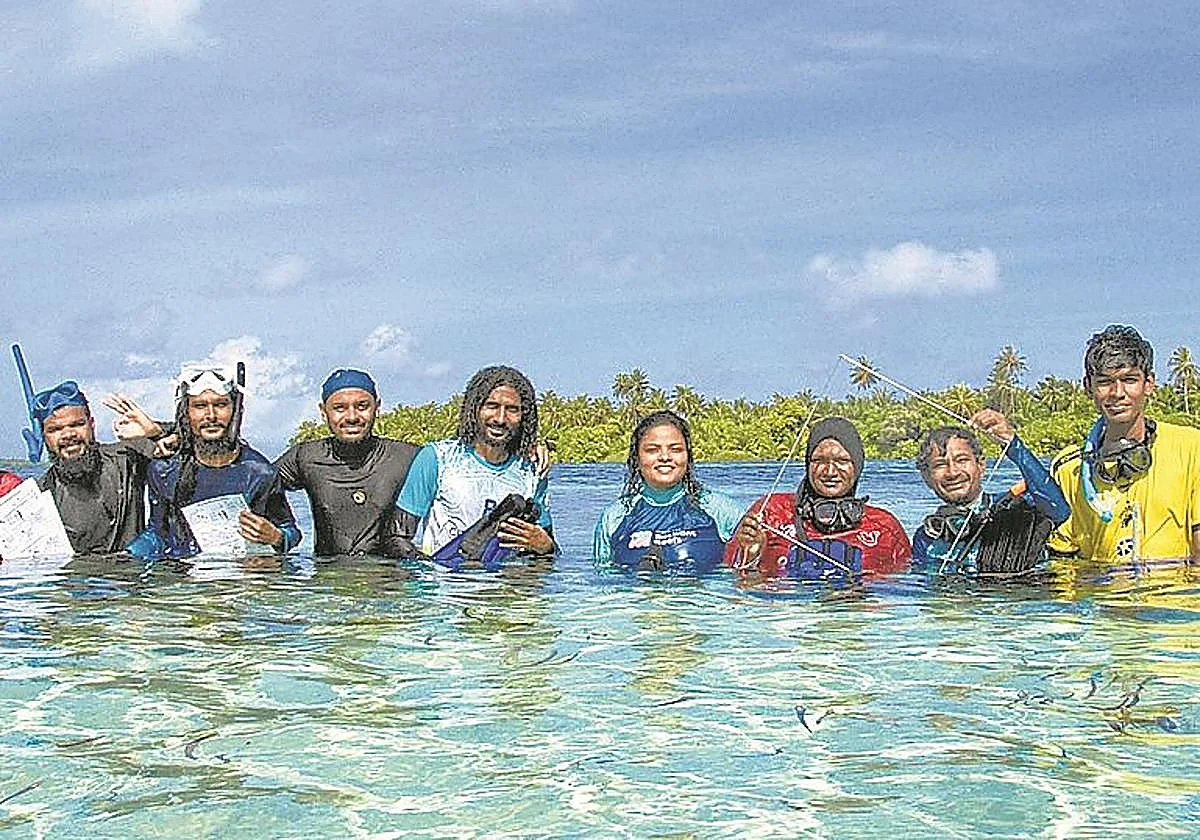 Sólo hay bañadores en 'Bikini Beach'