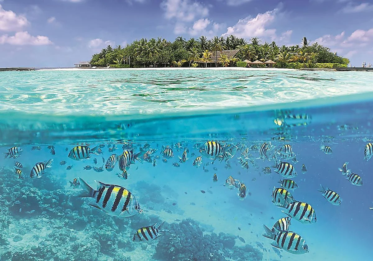 Las islas artificiales que construye el Gobierno de Maldivas para no desaparecer bajo el mar