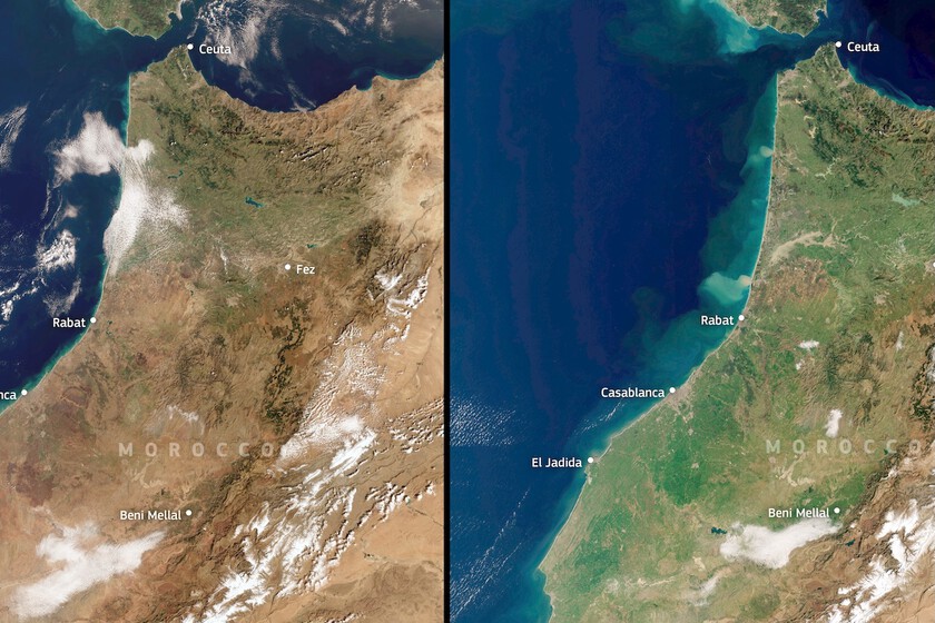 Imágenes satelitales no dejan lugar a dudas: ha llovido tanto que Marruecos no se veía tan verde desde hace una década