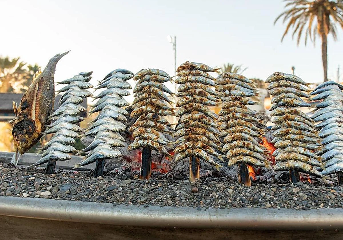 Proteína de alta calidad, omega 3 y creatina en un solo alimento... y se pesca en la costa malagueña