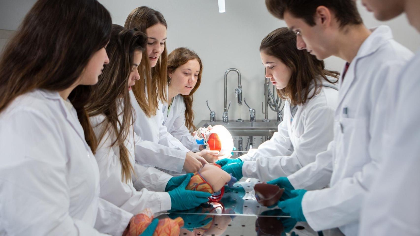 "Aprovechaba para acariciarle los pechos": el abuso verbal y sexual a MIR y estudiantes de Medicina está "normalizado"