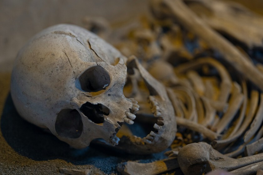 La prehistoria también era 'woke': una mujer de hace 7.000 años sugiere que el género no era una barrera inamovible