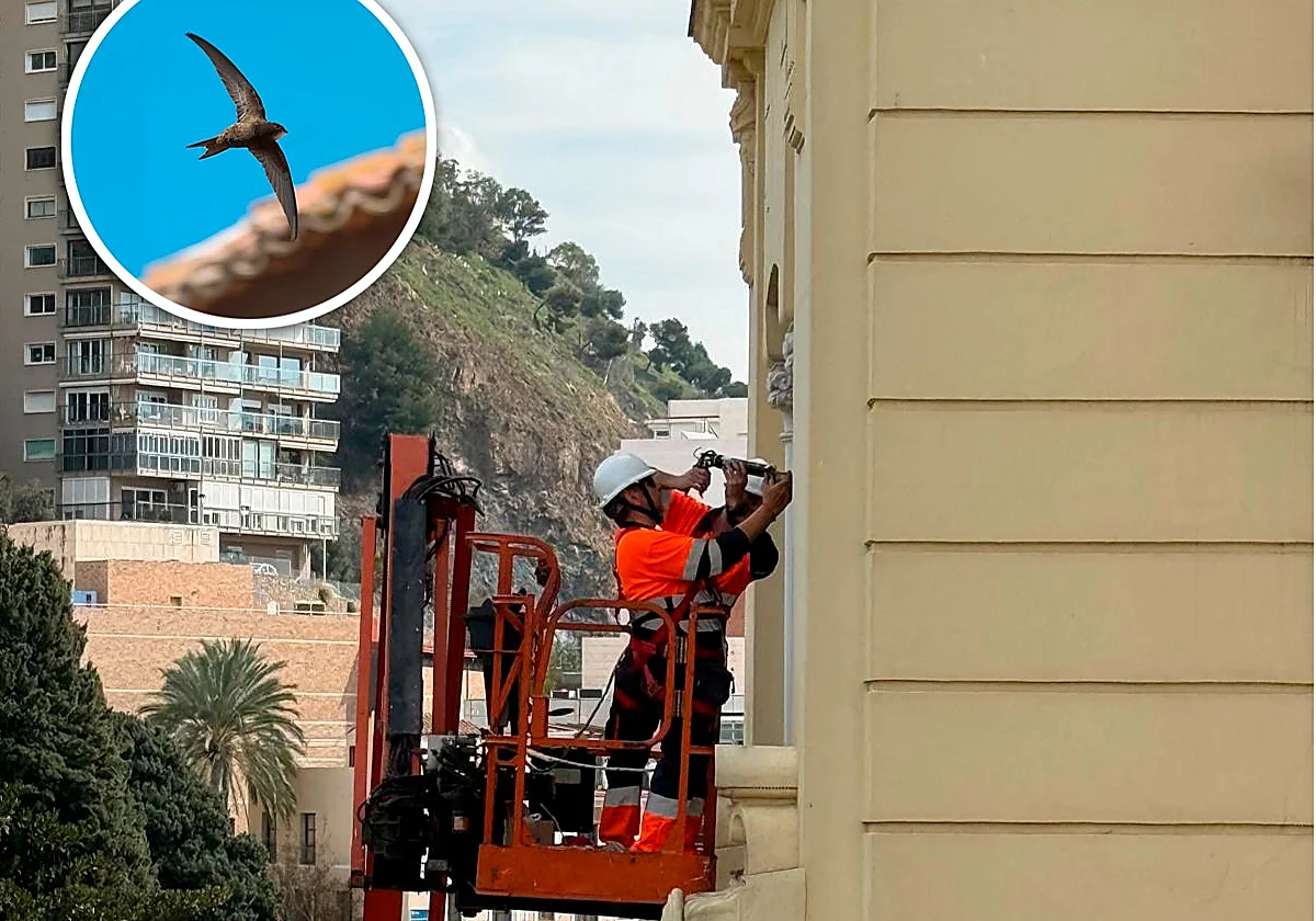 El Ayuntamiento de Málaga no quiere okupas: en marcha operación cierre de tambuchos