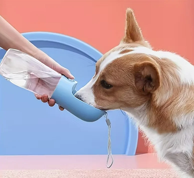 Los mejores bebederos de viaje con botella integrada para perros