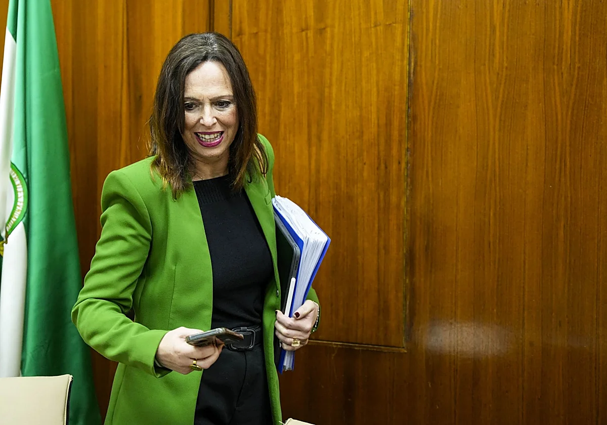 La Junta apela a la colaboración municipal para dar respuesta a la falta de vivienda