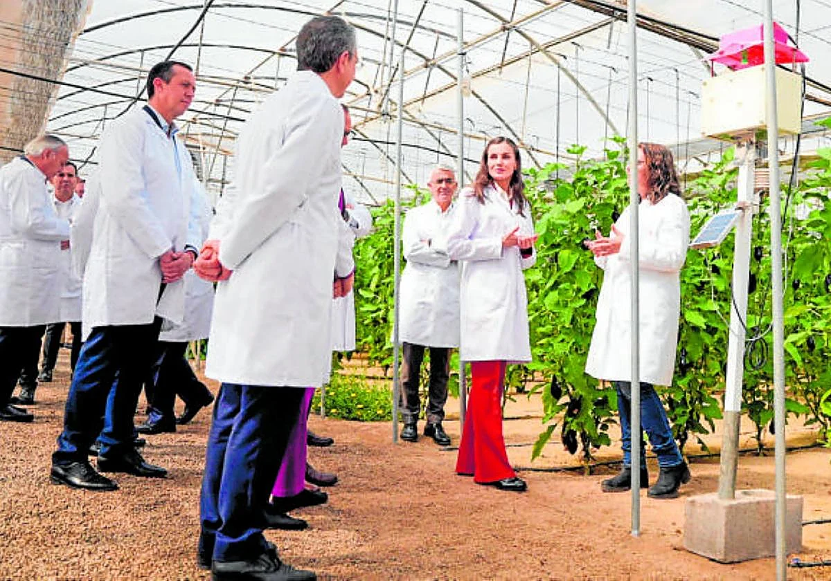 La Reina Letizia conoce la innovación agrícola de 'Las Palmerillas'