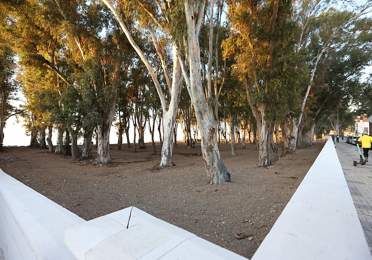 Costas da luz verde definitiva al proyecto del parque marítimo en los Baños del Carmen de Málaga
