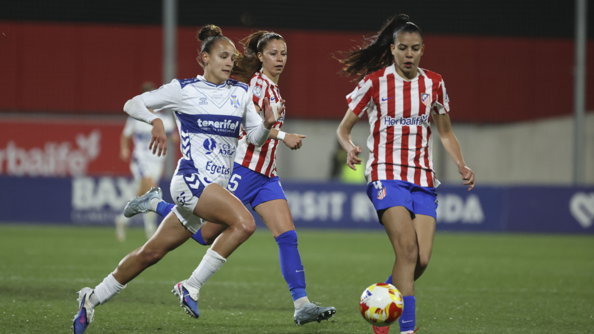 Gio compra medio billete para Gran Canaria