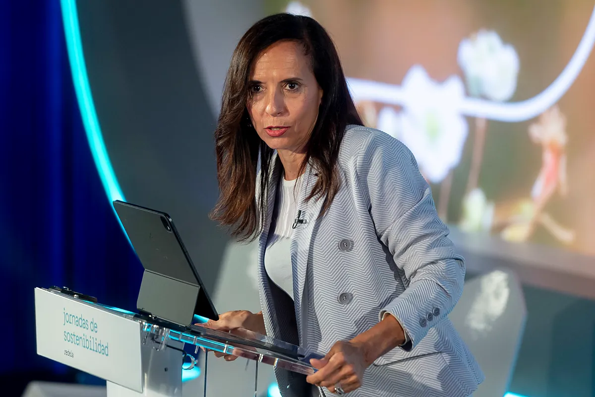 El sistema eléctrico español enloquece: la luz pasa hoy de 0 euros a 170 en 4 horas