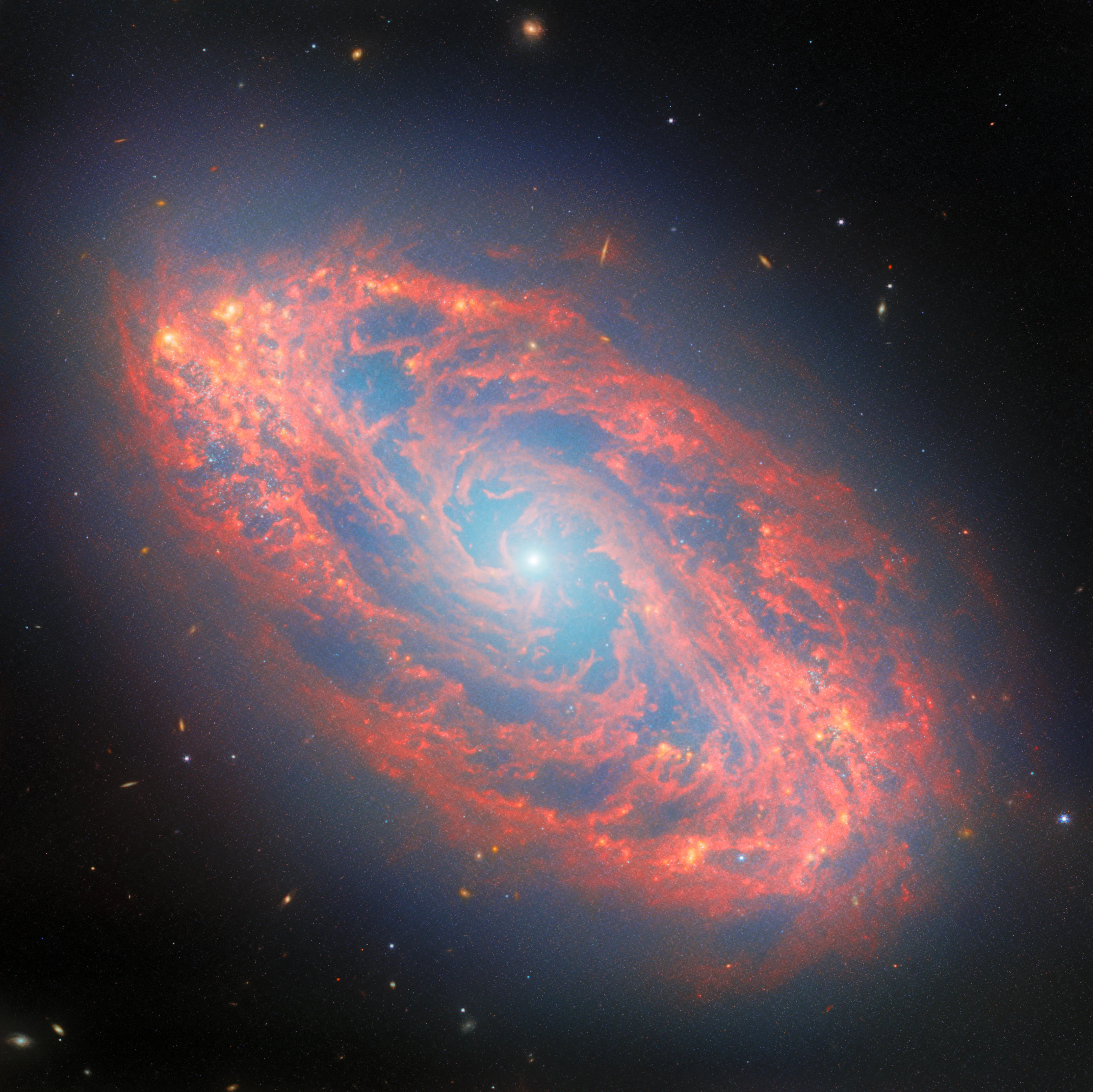 Webb Spots Details in Nearby Spiral Galaxy