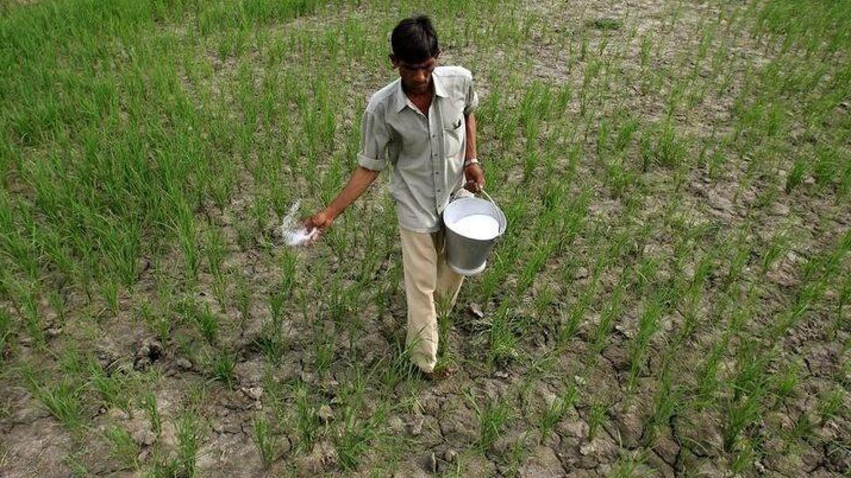 La guerra de Irán eleva el coste de los fertilizantes hasta un 35% y encarece el trigo o el café en los mercados financieros