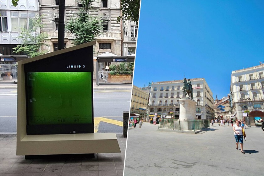 España tiene las ciudades con menos arbolado de Europa: llega el árbol líquido que no necesita suelo ni espacio