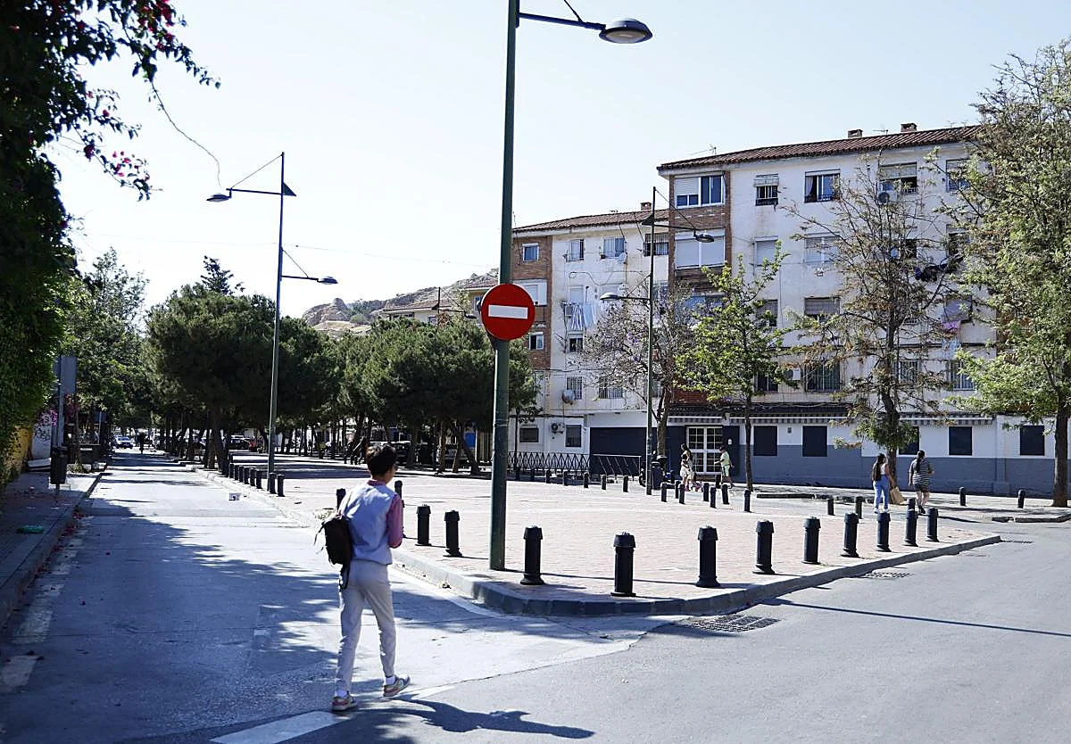 La inmigración también va por barrios