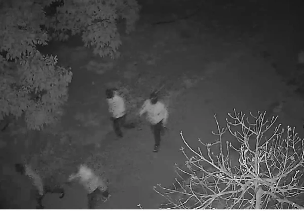 Oleada de robos en viviendas rurales y fincas de Valle-Niza y Almayate Alto: «Llevamos seis años con esta lacra»