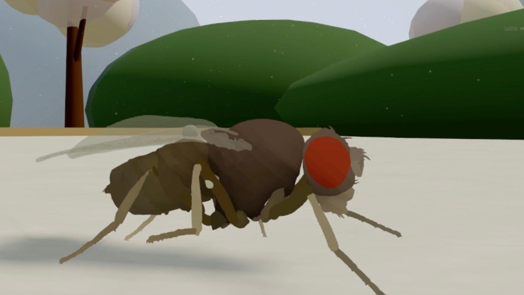 Científicos de EEUU logran 'subir' el cerebro de una mosca con 125.000 neuronas a una simulación virtual y funciona