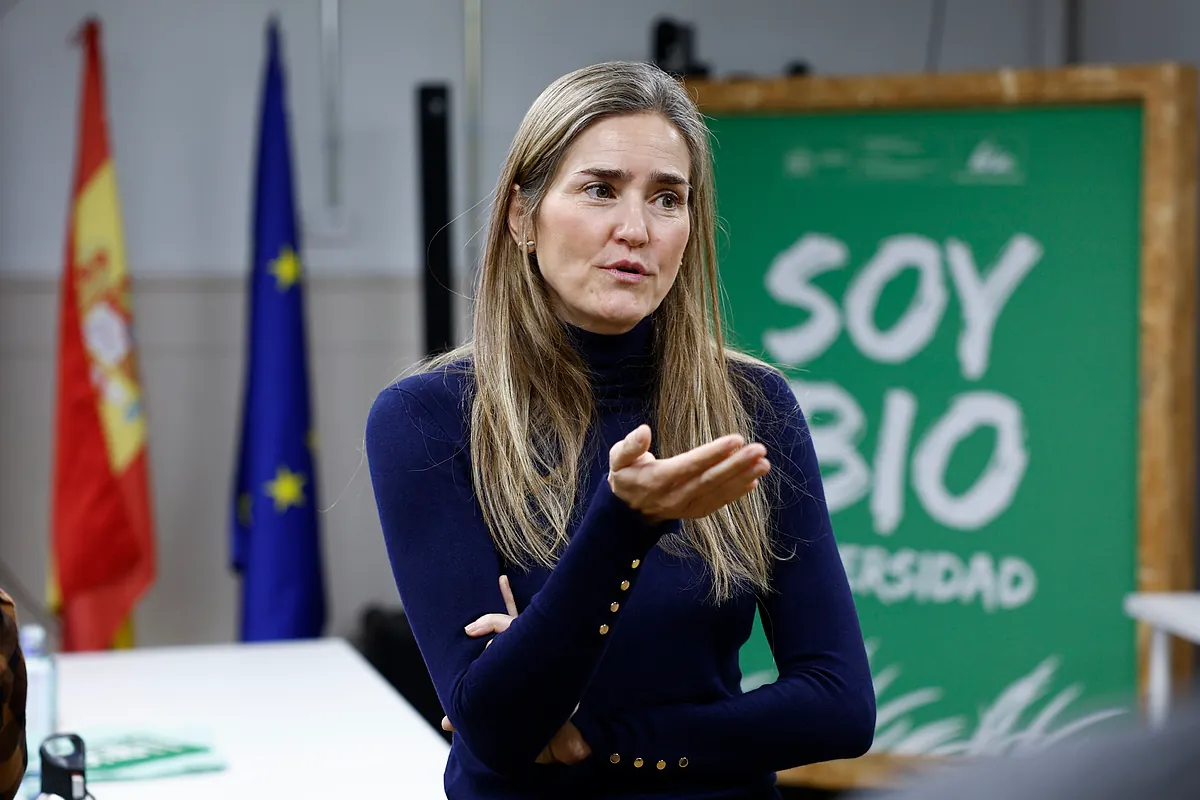 España advierte a la UE contra la suspensión del mercado de carbono para intentar bajar los precios de la energía