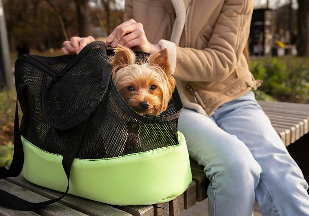 Las mejores mochilas de transporte general para mascotas en vacaciones