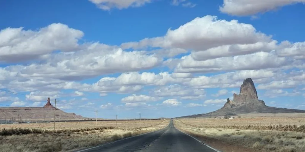 Denis Johnson te da alas