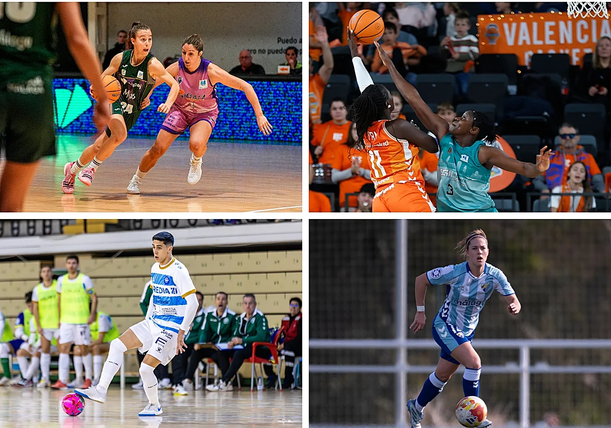 Polideportivo malagueño: El CAB Estepona, ante un duelo directo entre aspirantes a la salvación