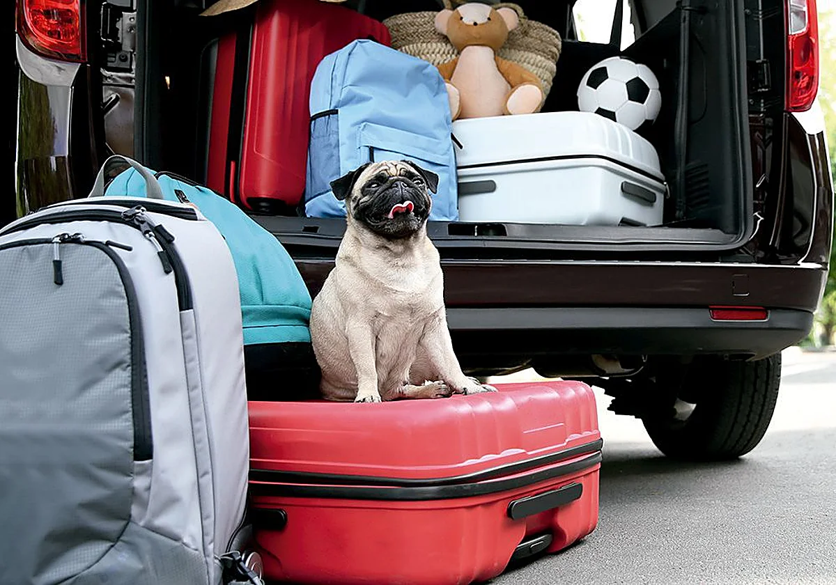 España suspende en gasolineras 'pet friendly' ante los viajes navideños